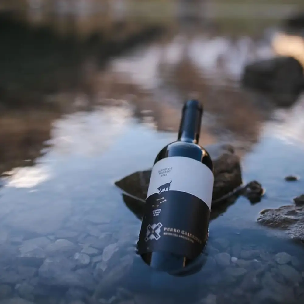 Vino Perro Callejero Blend de Malbec - Caja x 6 unidades de 750ml